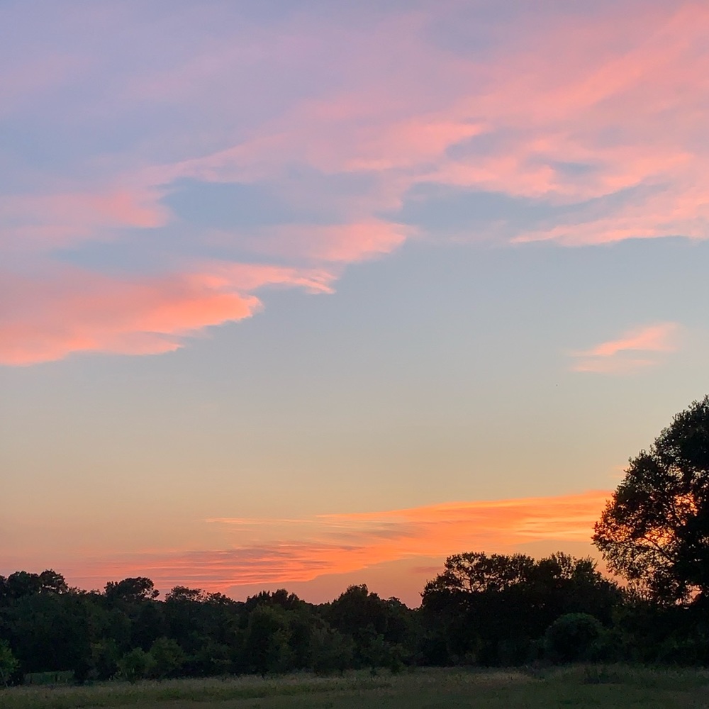 Meet your Posher, Libby